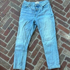 Everlane The 90’s Cheeky Jean